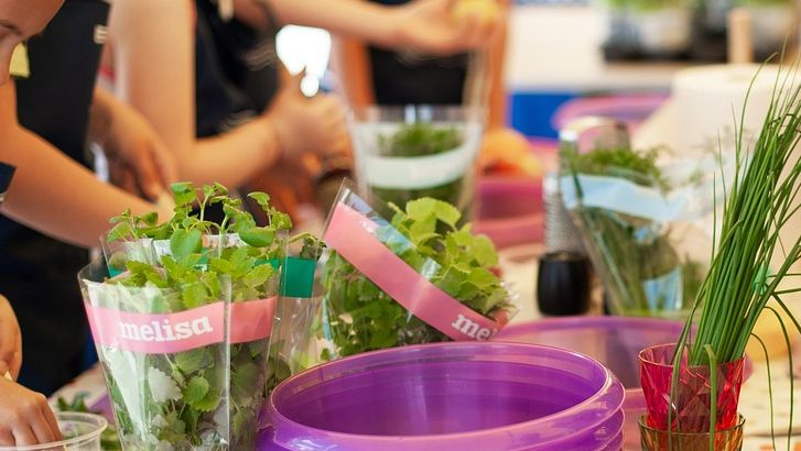 Kochen; Foto: pixabay