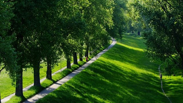 Rheinwiesen; Foto: pixabay