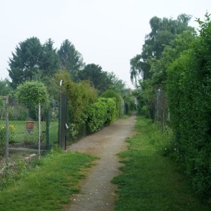 Pachtausschuss Grabeland, Foto: Gemeinde